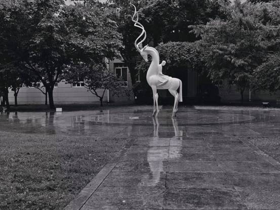 雕塑 吴明玉《so near yet so far》2.jpg